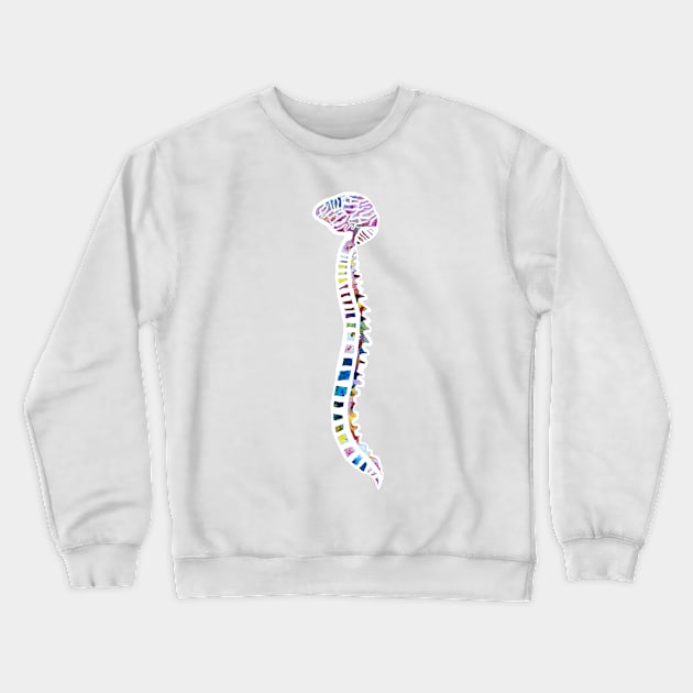 Funfetti Brain and Spine (White background) Crewneck Sweatshirt by ayemfid